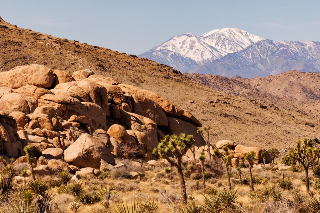 Joshua Tree National Park boulders and snow capped mountains