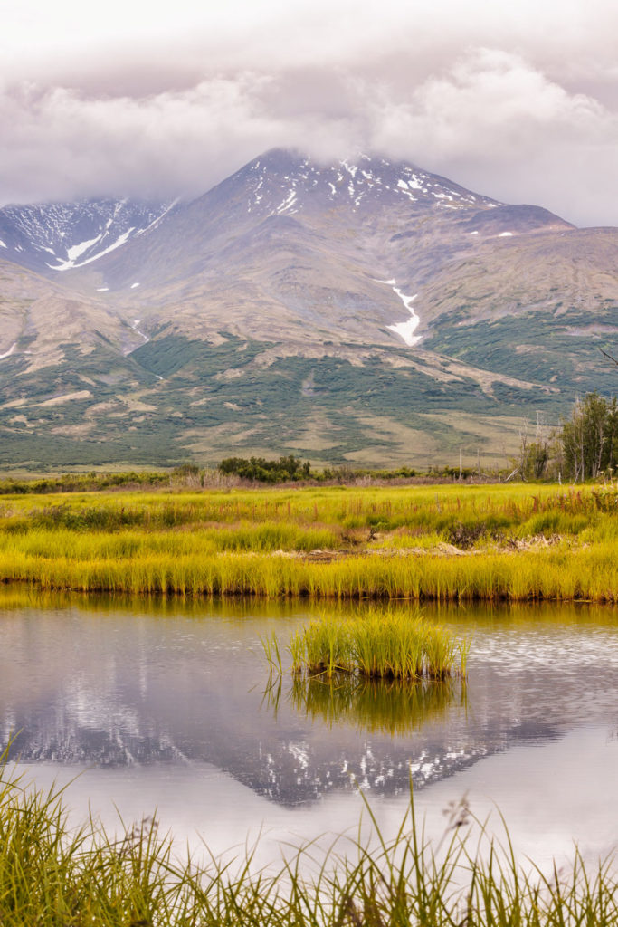 Western Alaska mountain reflected in pond in summer near Pilgrim Hot Springs