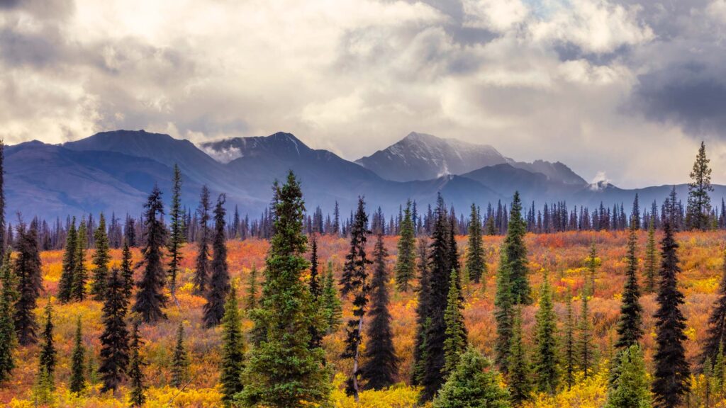 Alaska Range in fall