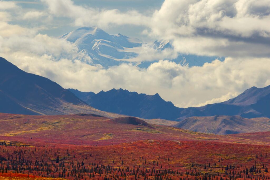 View of Denali in the fall.